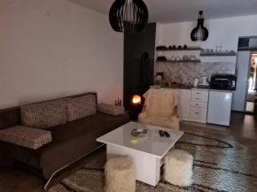 Studio Apartman ARAS
